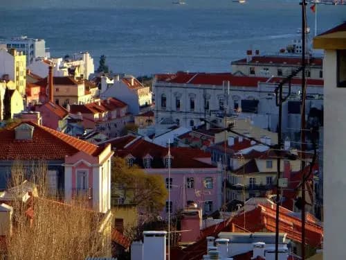 WALLIS SãO BENTO - photo 17