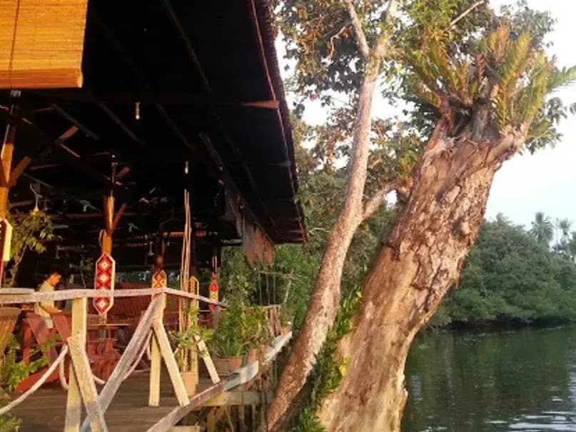 Monkey Tops River Lodge - photo 5