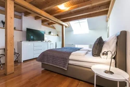 Attic Apartment by Wenceslas Square - photo 4