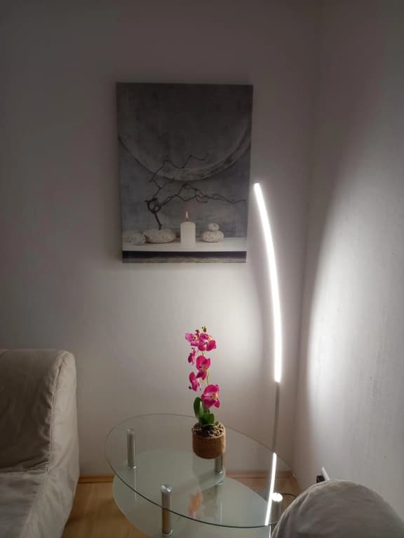 Apartment near downtown - photo 9