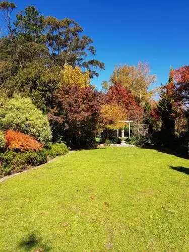 Winston Cottage at Three Sisters - photo 6
