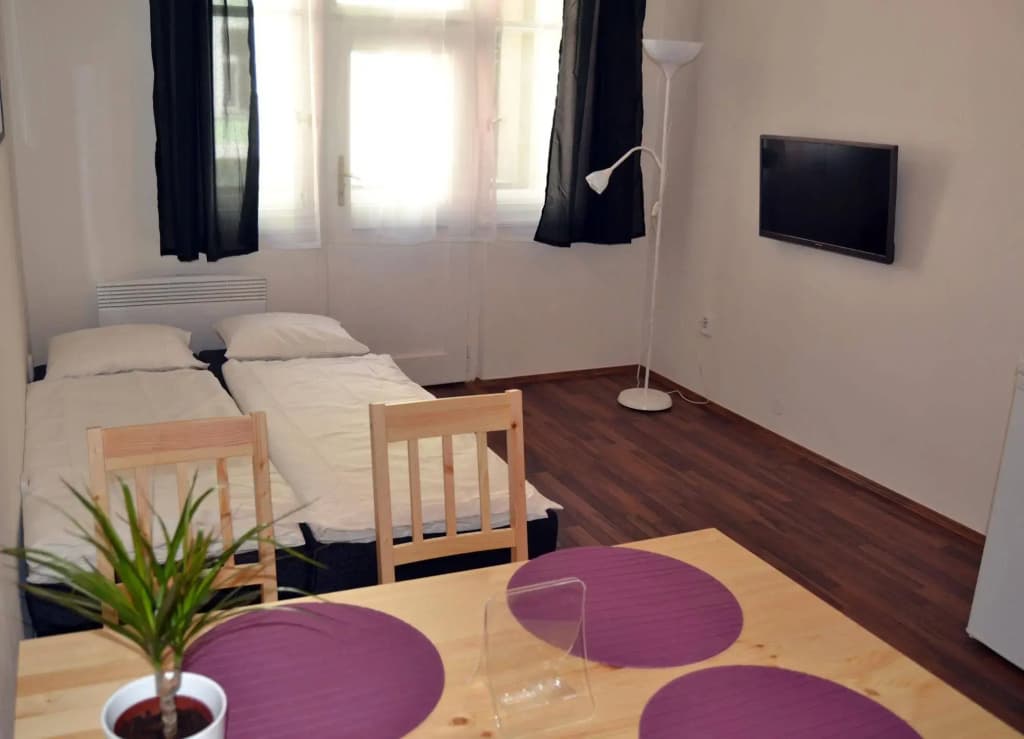 Jezerka Apartments - photo 3