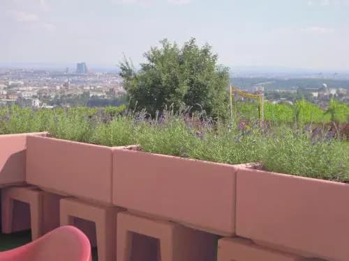 Palace Hostel  - Schlossherberge - photo 6