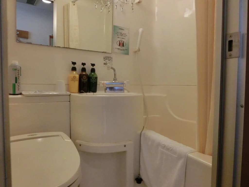 Shin-Osaka Station Hotel - photo 8