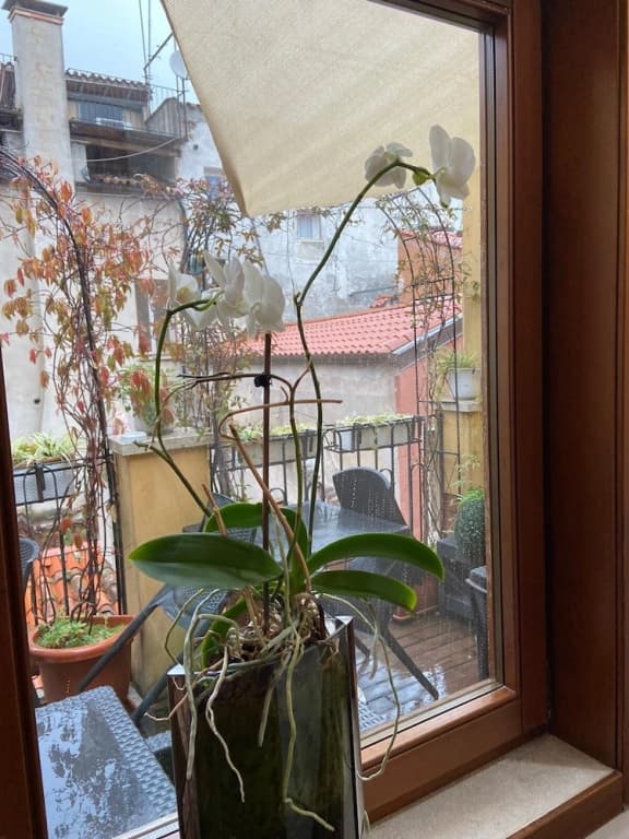Locanda Antico Casin - photo 8