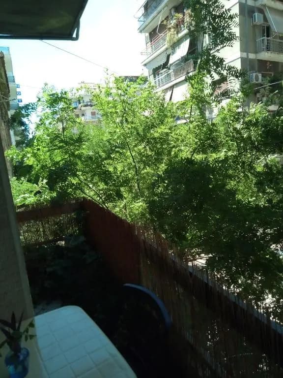 Central Apartment - photo 8