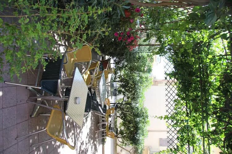 Hotel Tirrenia - photo 5