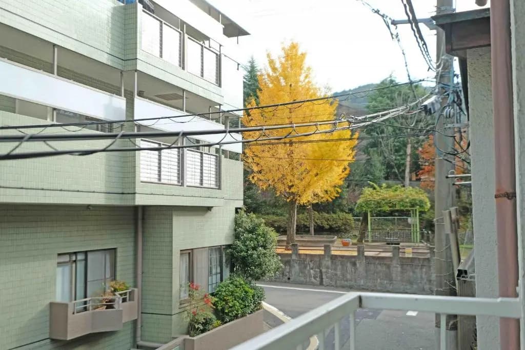 Teppanyaki House - photo 13