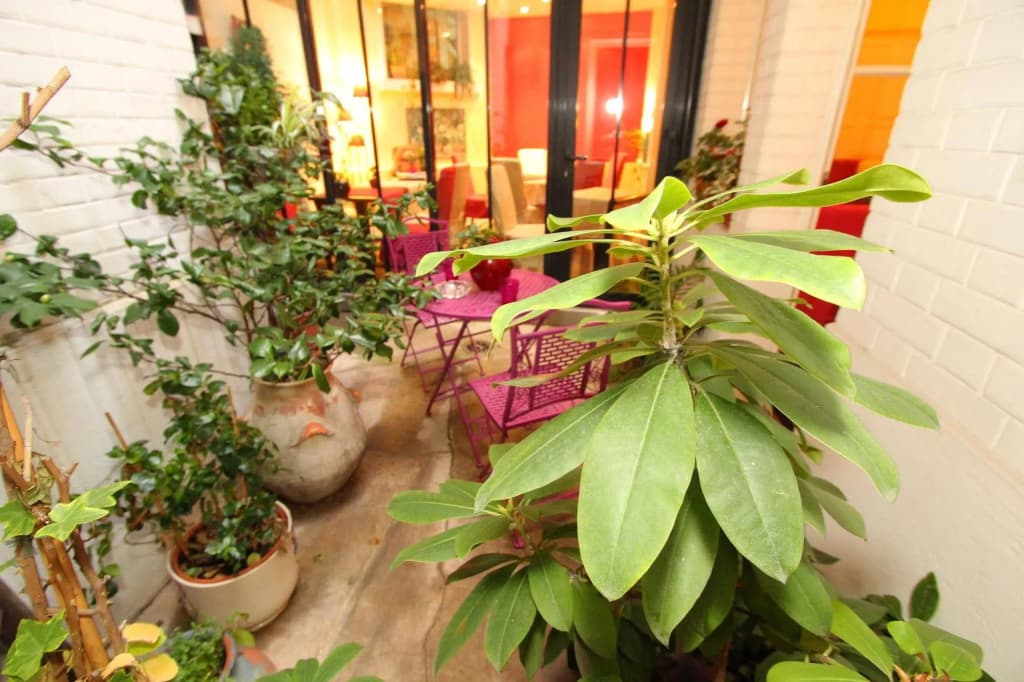 Hotel Virgina - photo 23