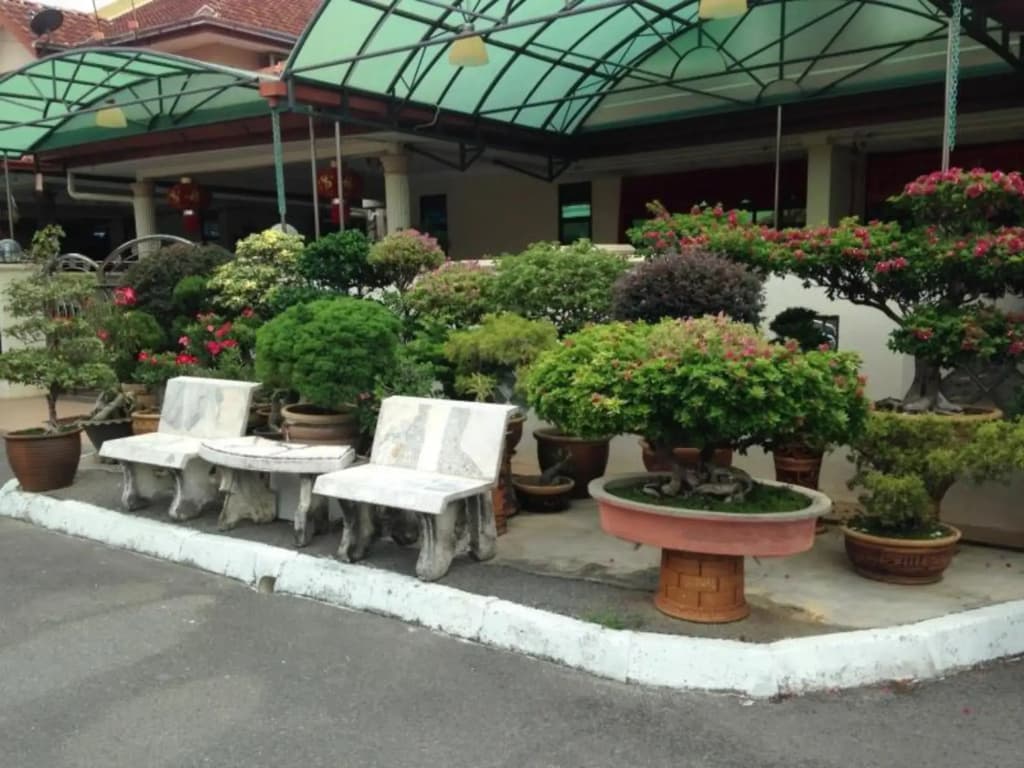Dview Guest Houses - photo 14