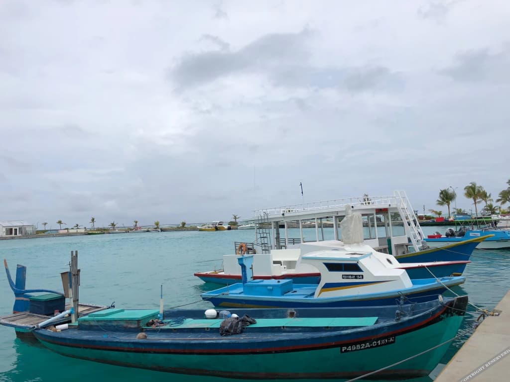 Dhiffushi Tourist Hotel - photo 10