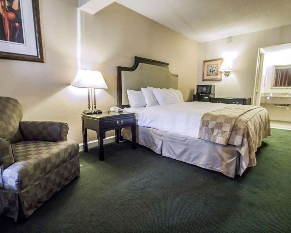 Rodeway Inn Near Florida Mall - photo 16