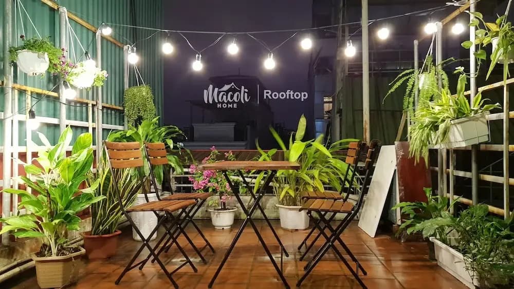 Macoli Home - photo 18