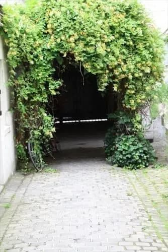 Very Charming Garden View 4 Sleeps In The Heart Saint Germain - photo 8
