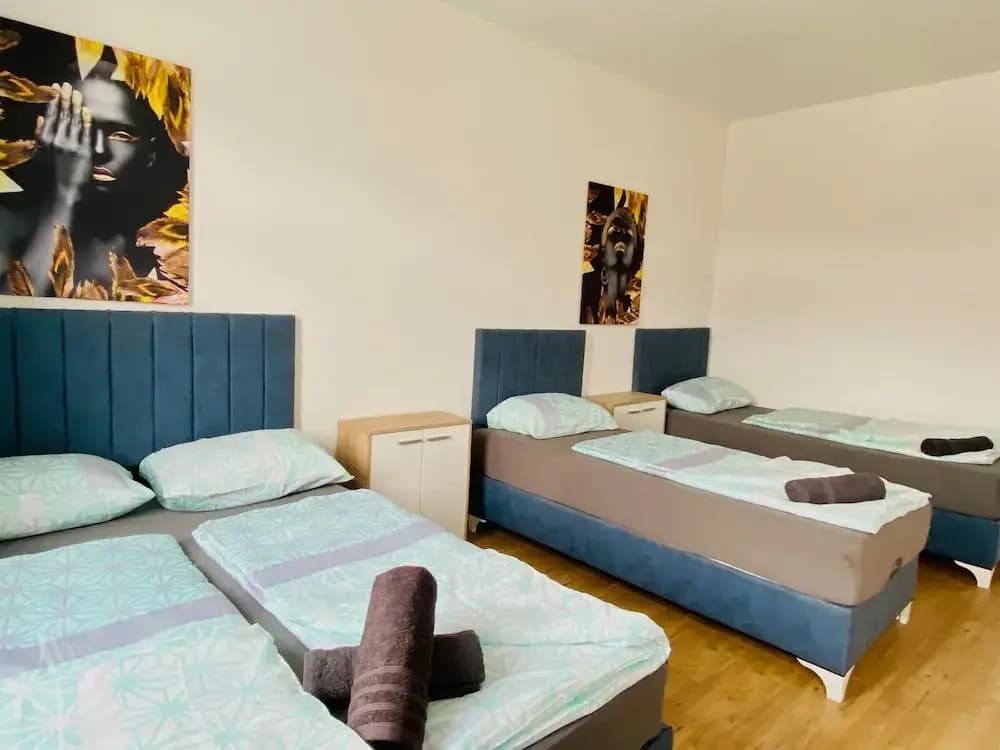 Spacious 4BR for 15 & 15 Min to Danube - photo 21