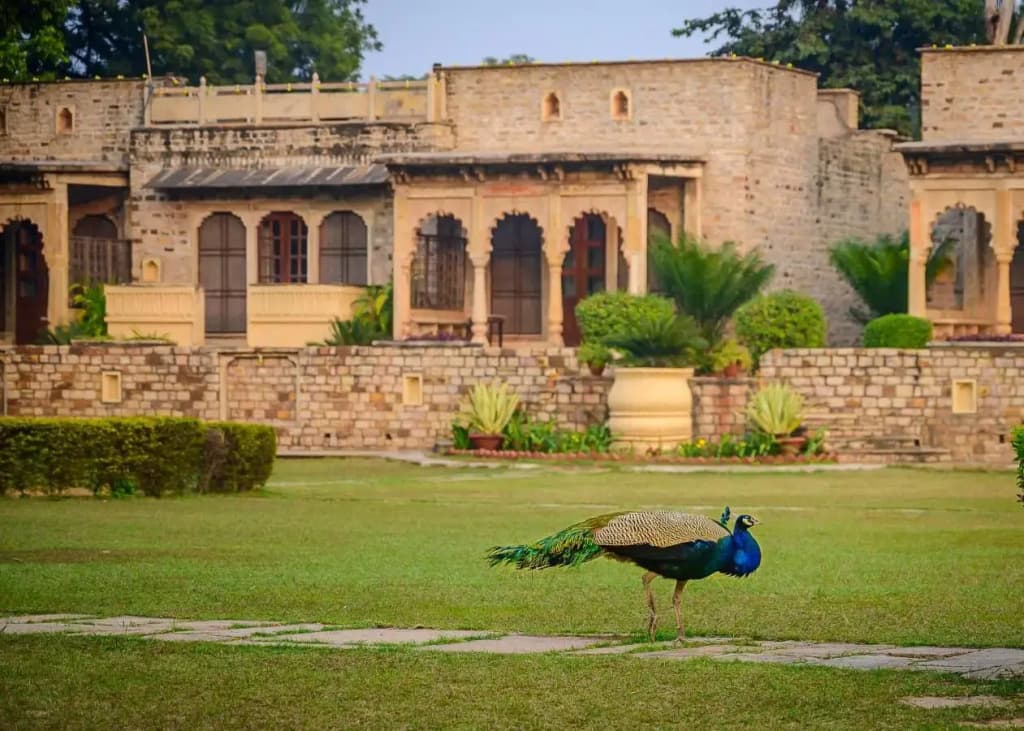 Neemrana'S - Deo Bagh - photo 9