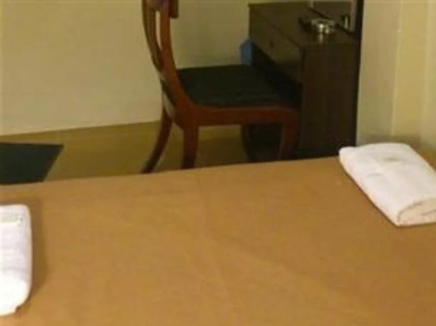 Hotel Anuja - photo 6