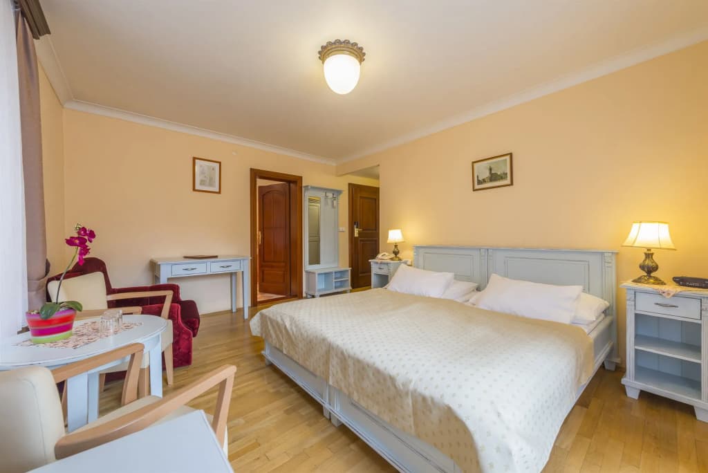 Hotel Cerny Slon - photo 6