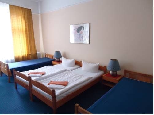 Hotel Pension Austriana - photo 2