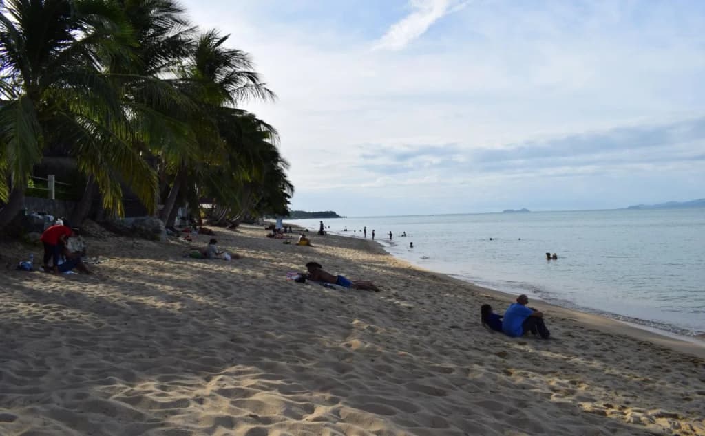 Serenity Resort - photo 13