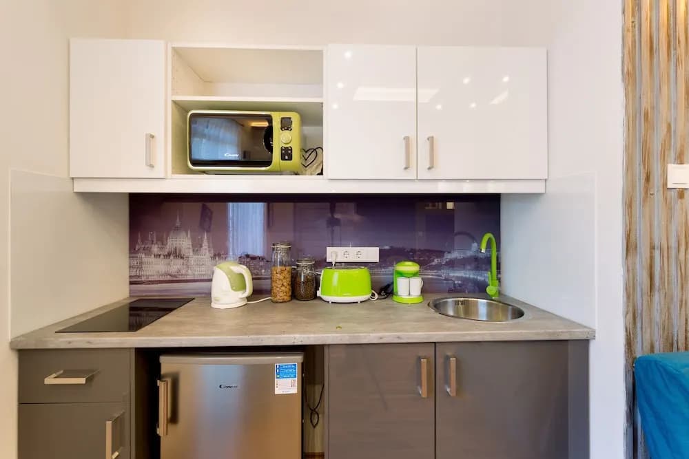 Luxury Downtown Apartment - photo 11