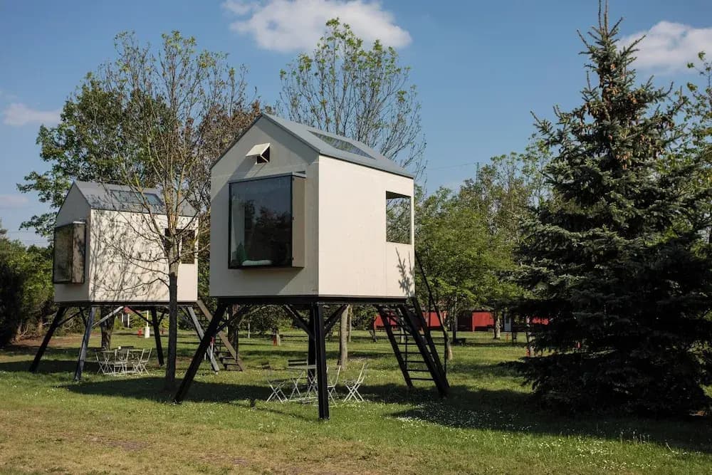 Camp Dzban - photo 8