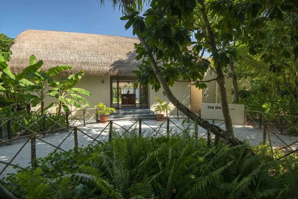 The Residence Maldives at Dhigurah Hotel - photo 27