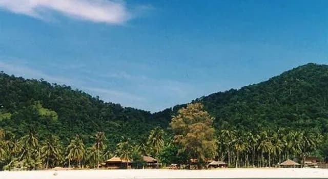 D'Coconut Island Resort - photo 15