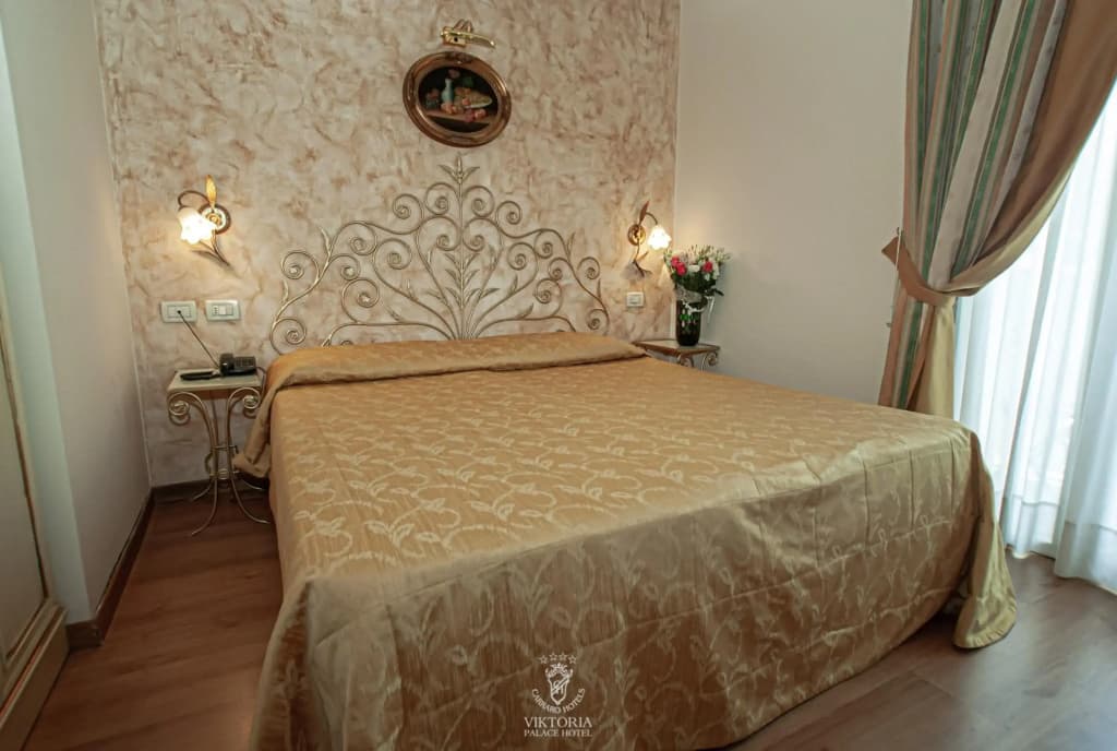 Viktoria Palace Hotel - photo 3