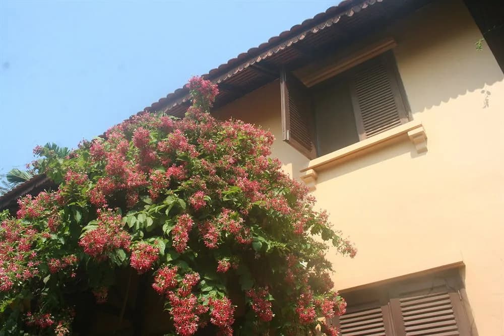 The Pool and Palm Villa - photo 1