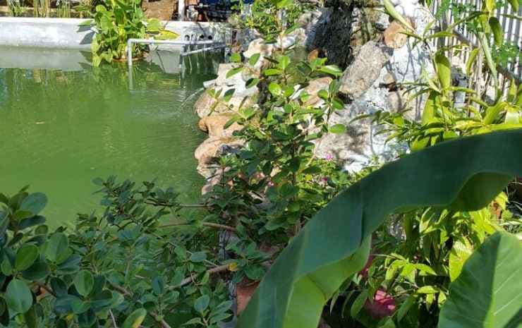 The Garden Resort - photo 1