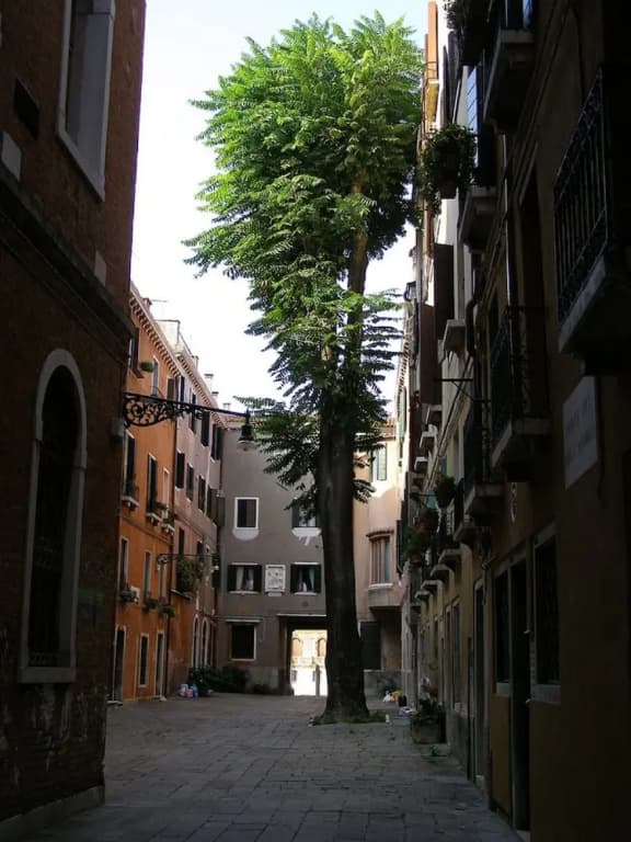 San Marco Style with Terrace - photo 7