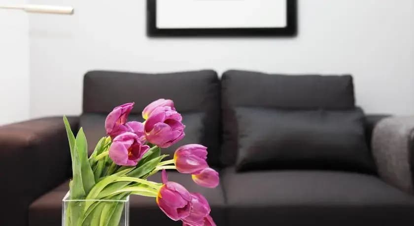 Luxury OneBedroom in Le Marais - photo 4