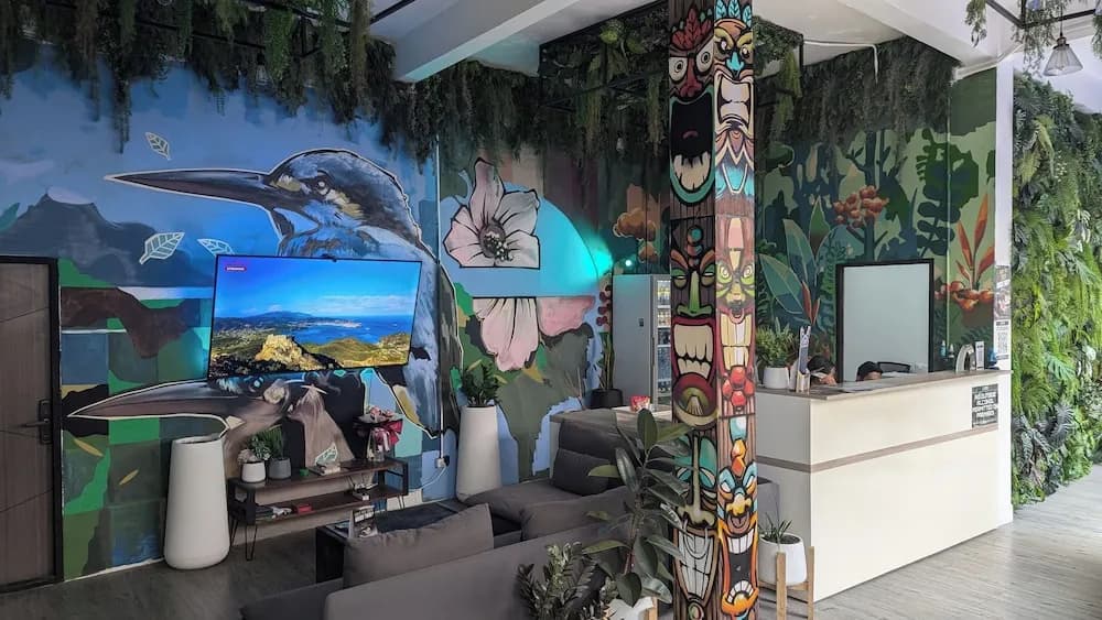 Urban Jungle Hostel - photo 10