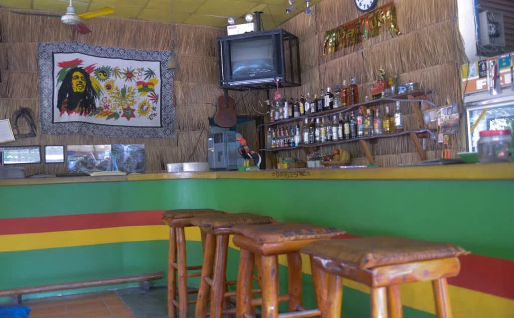 Kingston Jamaica Hostel - photo 11