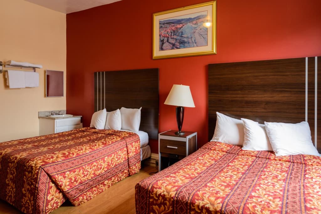 Europa Hotel - photo 4