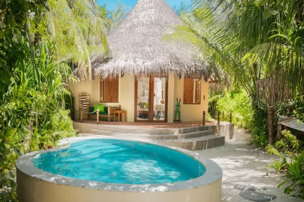 Coco Palm Dhuni Kolhu Resort - photo 10