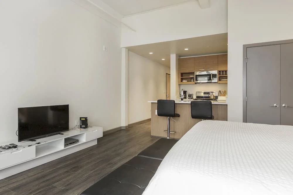 Soma Lofts Apartment - photo 3