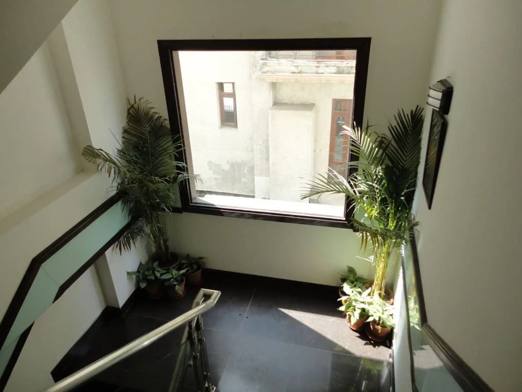 Hotel Divine Paradise - photo 13