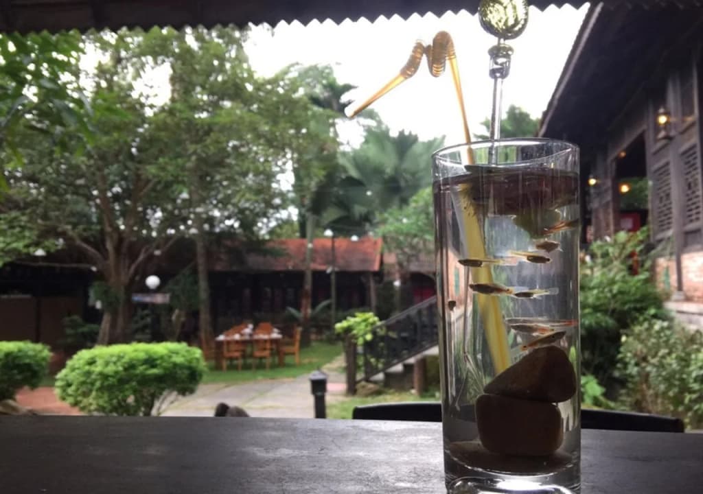 Sim Garden Resort - photo 6