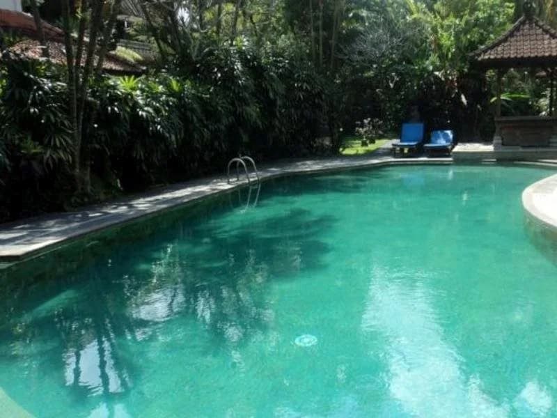 Villa Bhuana Alit - photo 8
