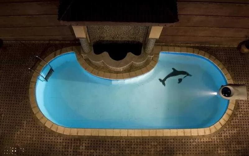 Riad Roukaya - photo 4