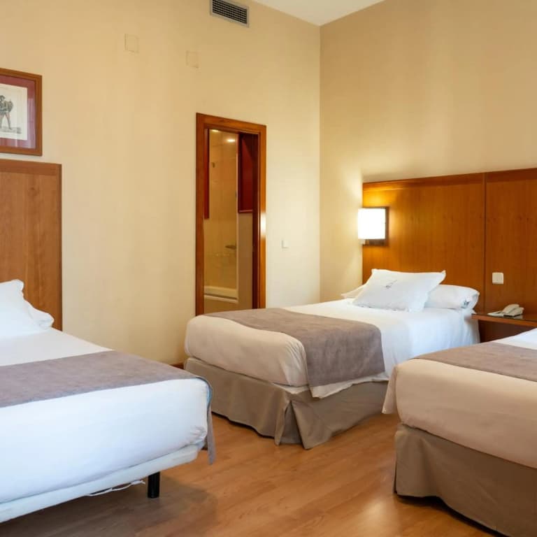 Ateneo Hotel - photo 23