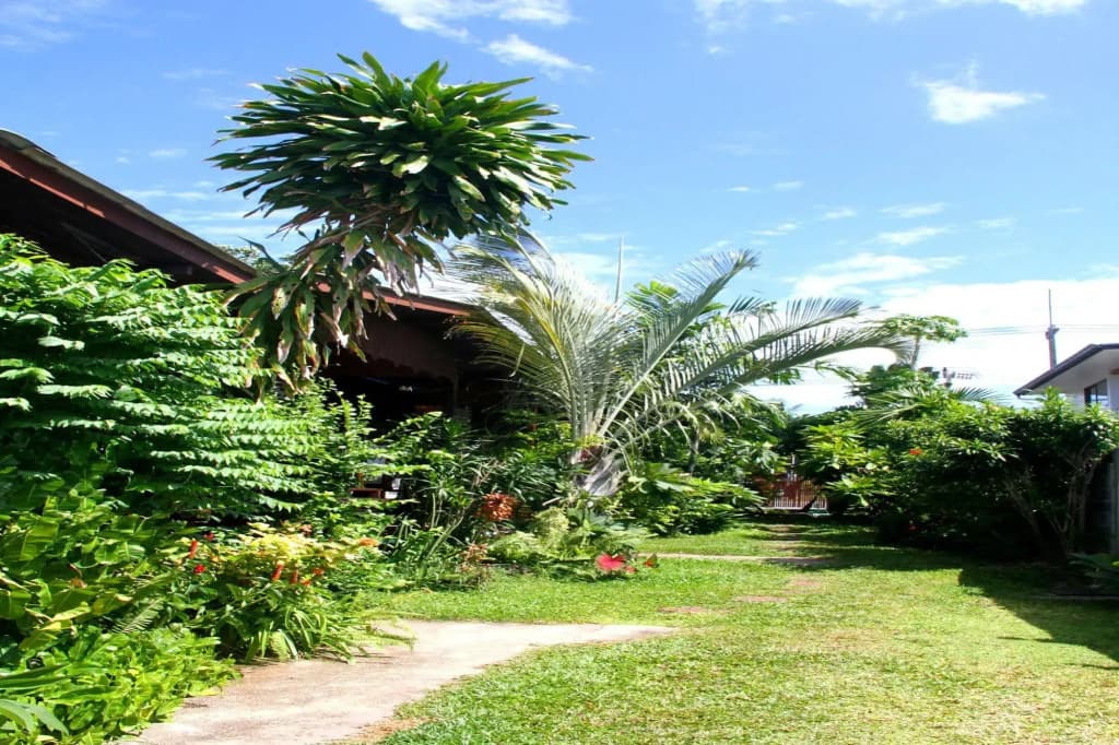 The Boardroom Beach Bungalows - photo 12