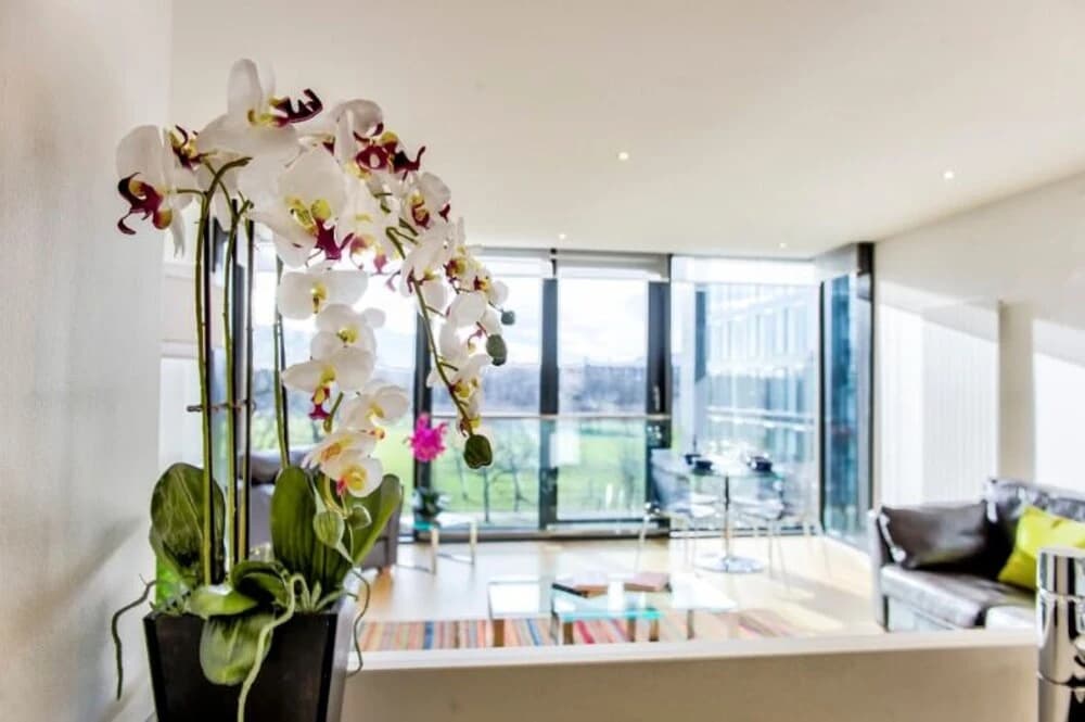 Luxury Quartermile Apart - photo 7