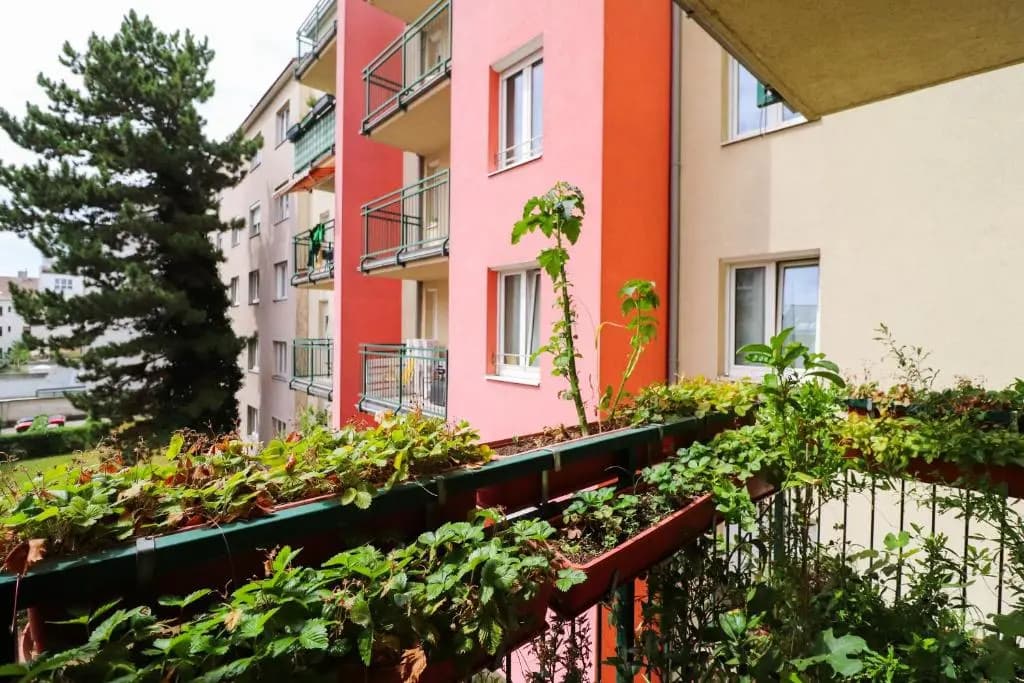 CozyNite Premium Apartment Schönbrunn 2 - photo 7