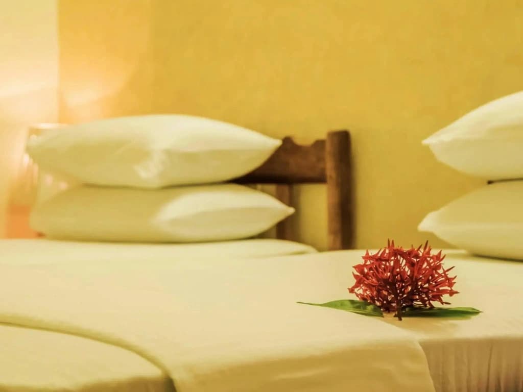 Fima Guesthouse - photo 1