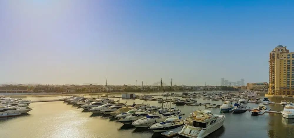 Large waterfront property palm - photo 9