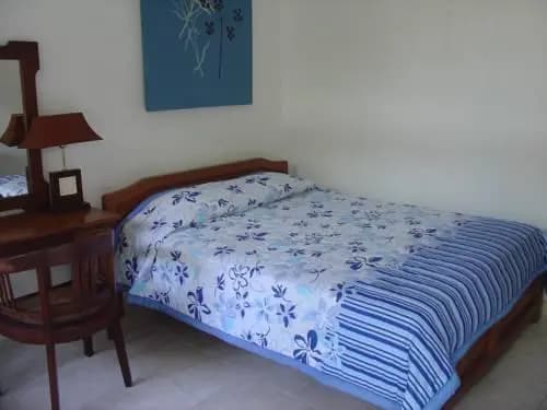 Little Pond Homestay - photo 3