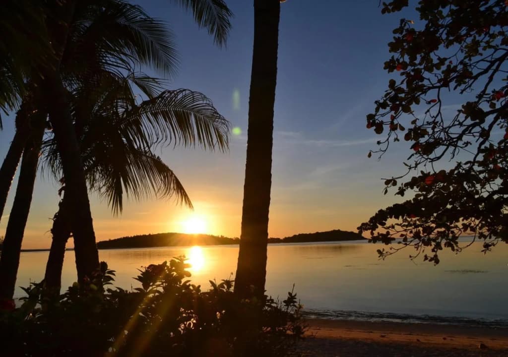 Palm Island - photo 17